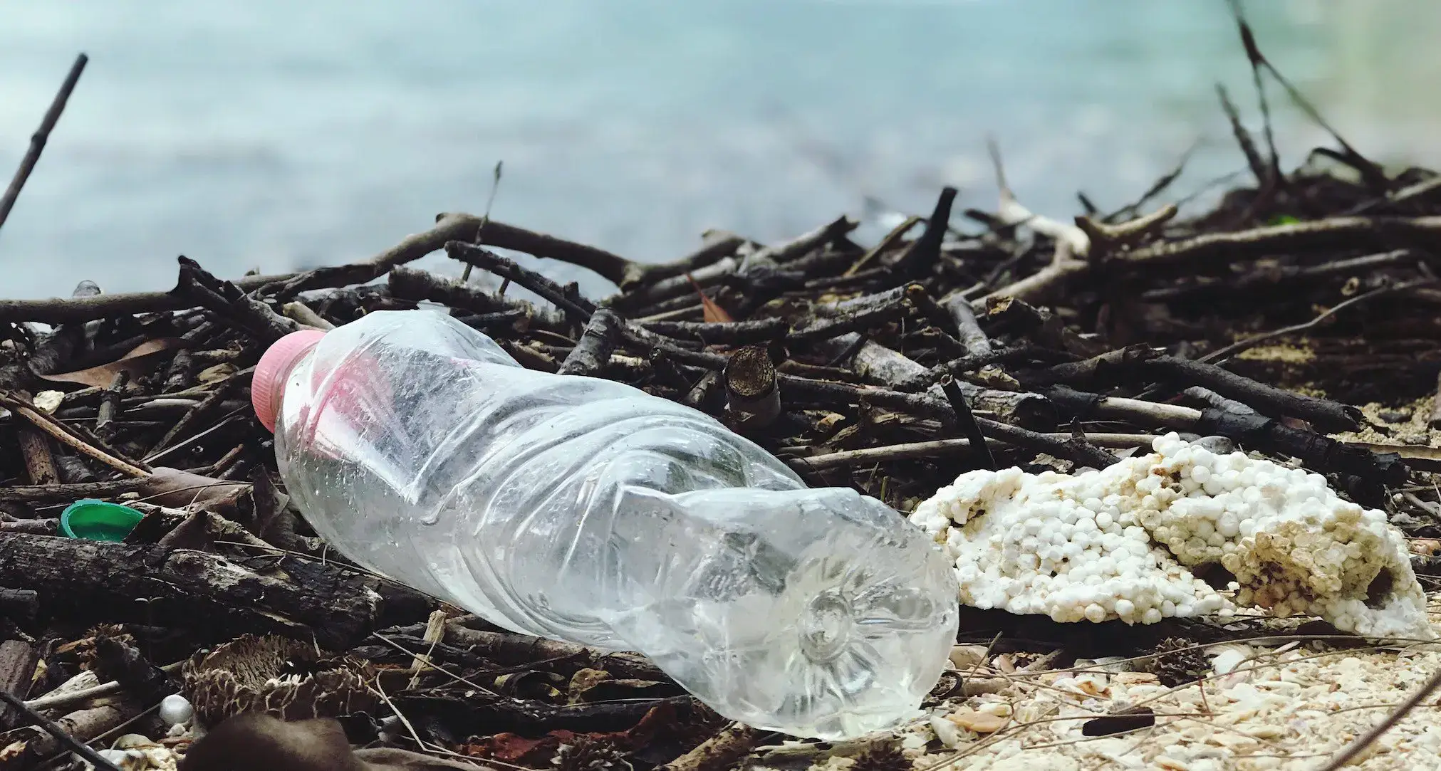 BPA in Plastic Water Bottles: Get the Facts