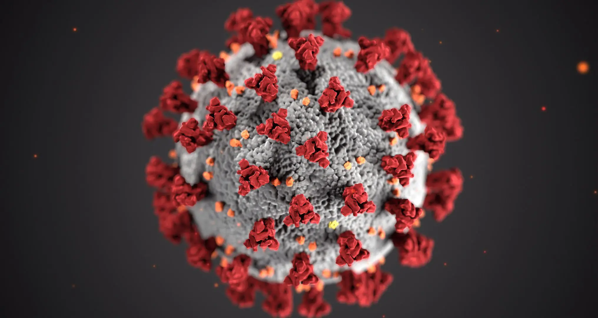 coronavirus