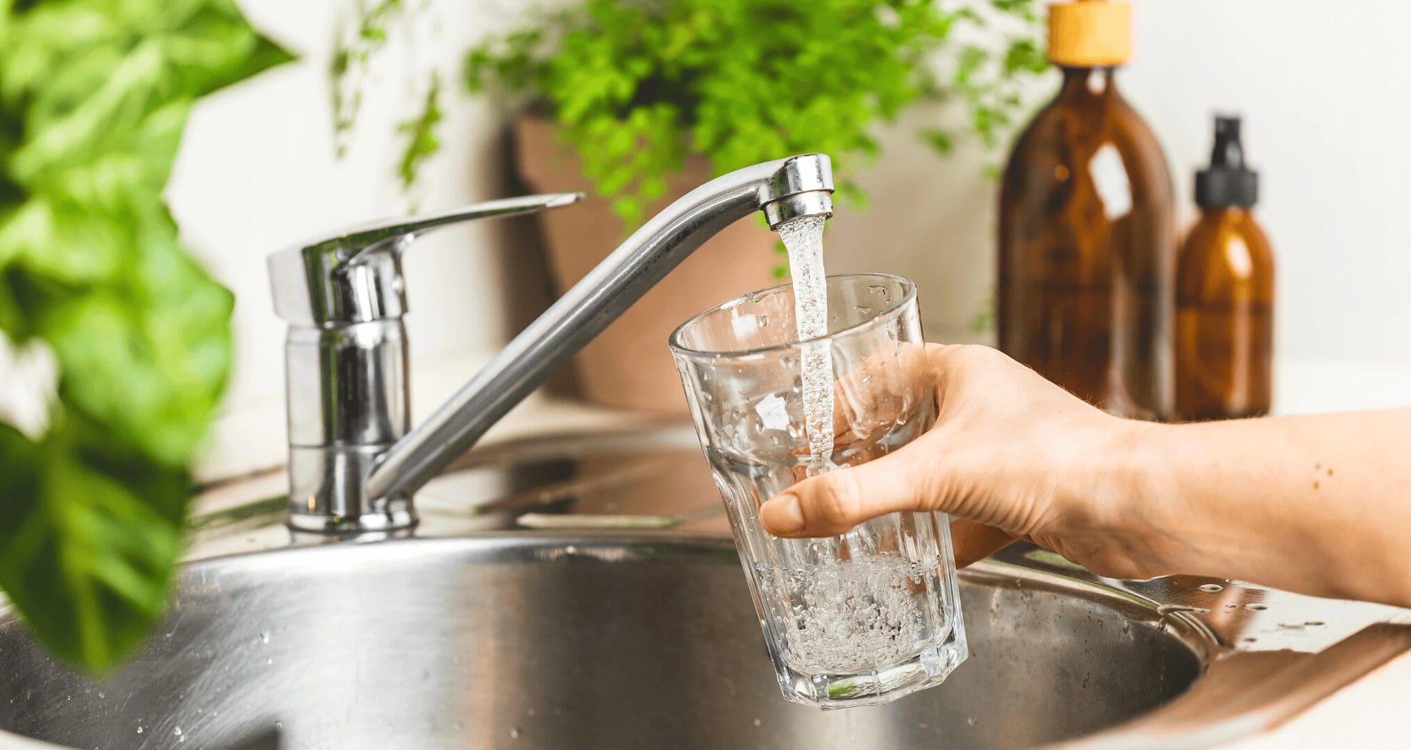 person filling up a glass of water from the tap